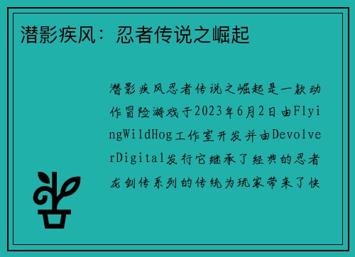 潜影疾风：忍者传说之崛起